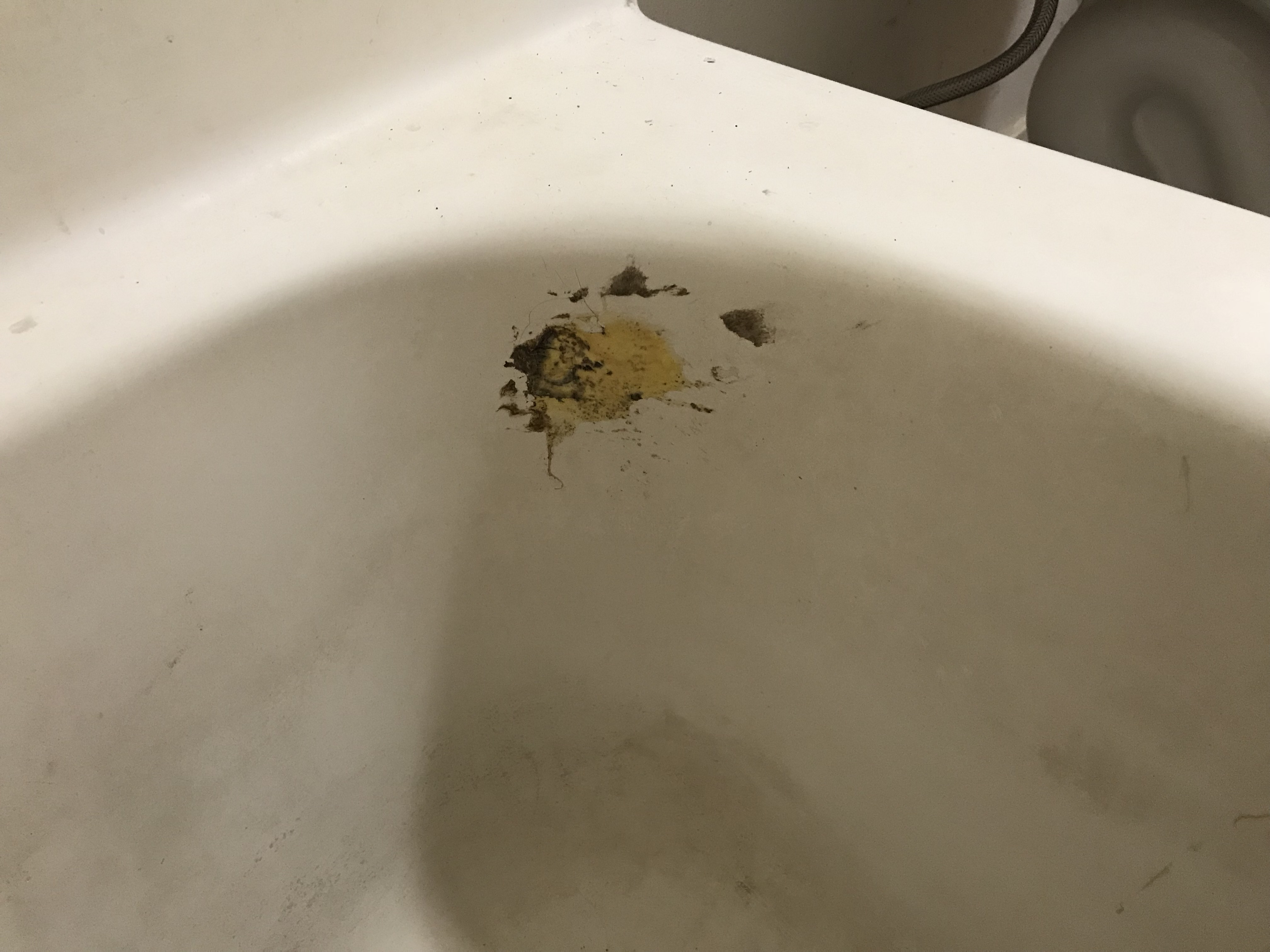 Bathtub refinishing, spot repair before - NuFinishPro